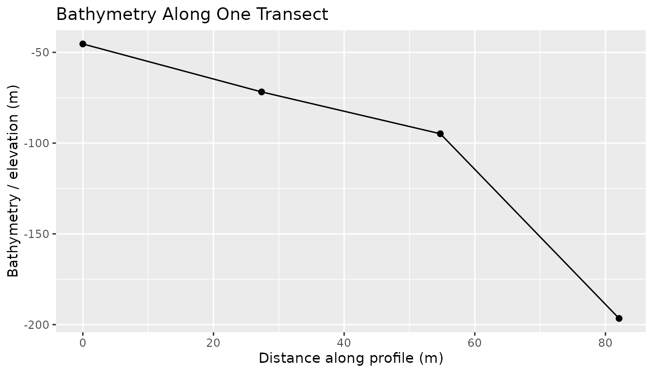 Bathymetric profile along a single transect.