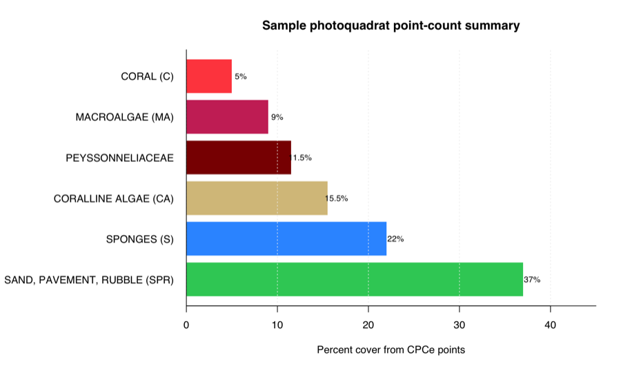 Horizontal bar chart of mean point-count cover across two bundled photoquadrats, with sand pavement and rubble highest, followed by sponges, coralline algae, Peyssonneliaceae, macroalgae, and coral.